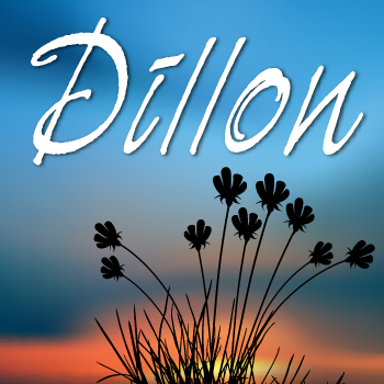 Dillon+Pro